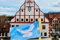Flagge Frieden Taube Rathaus Markt