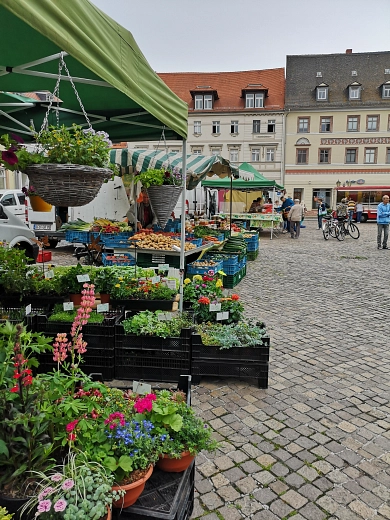Markt Frische © Stadt Grimma